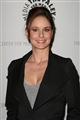 Sarah Wayne Callies