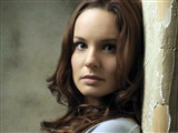 Sarah Wayne Callies