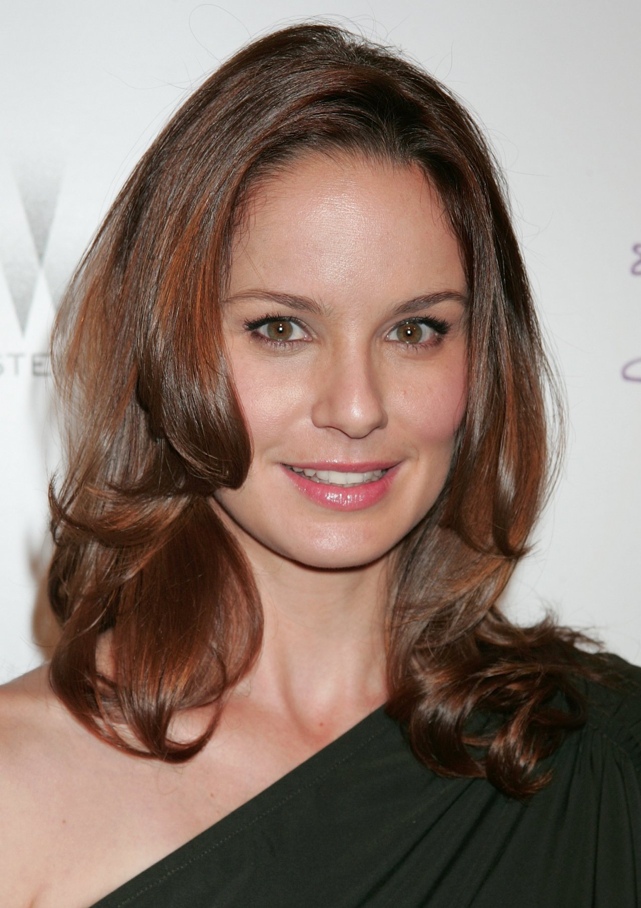 Sarah Wayne Callies